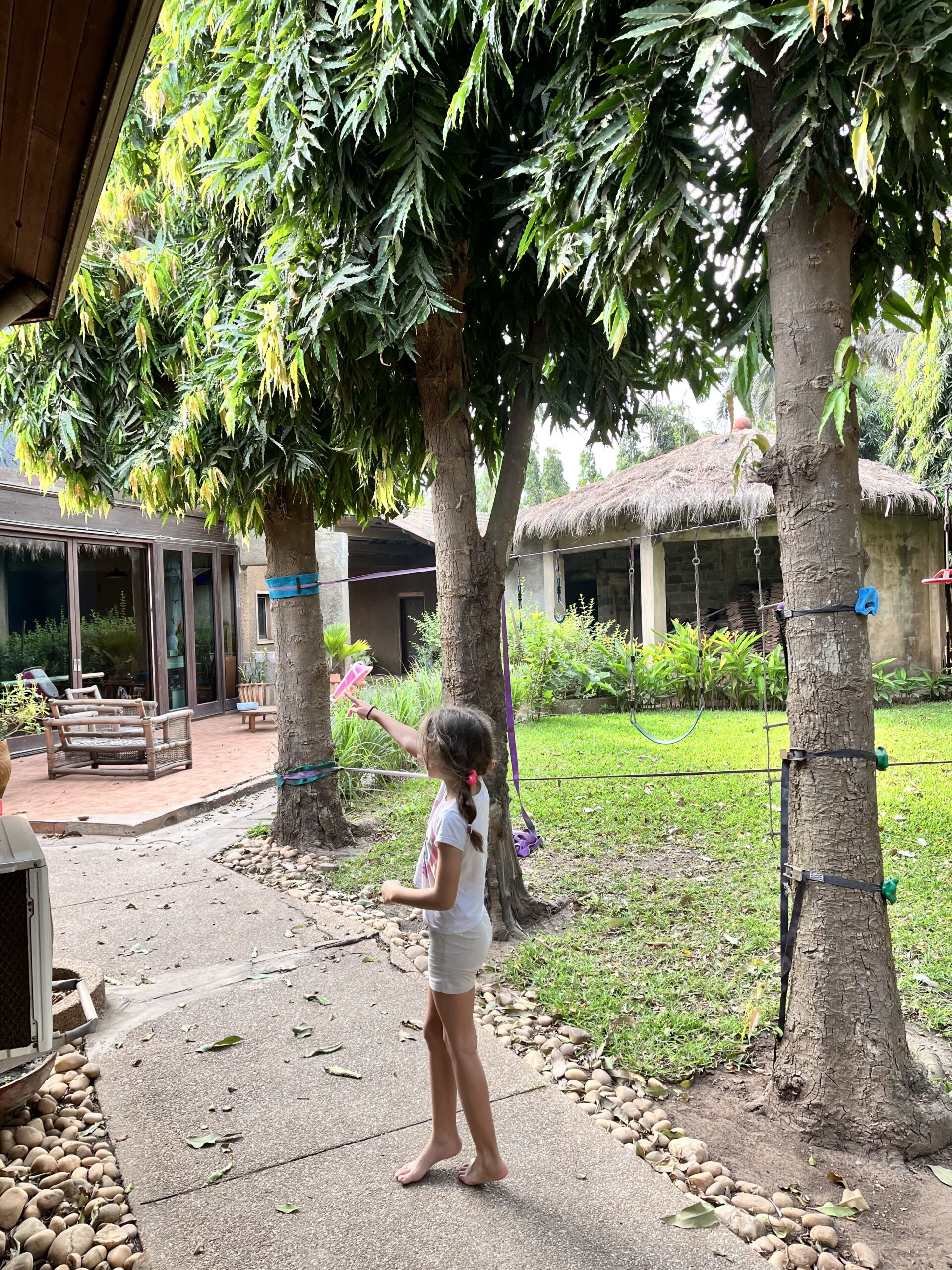 exploring the green garden path.